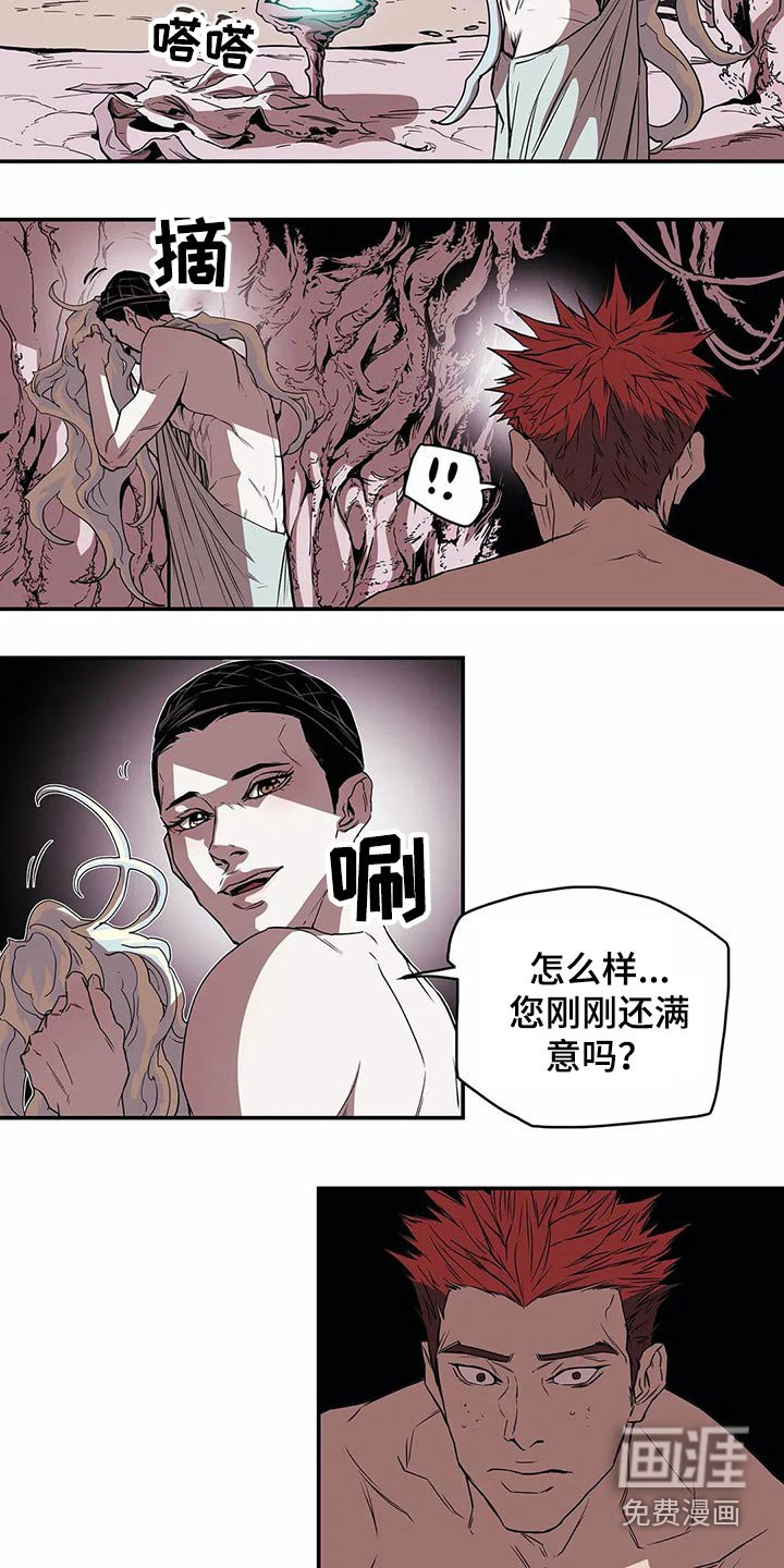 第49章：象征