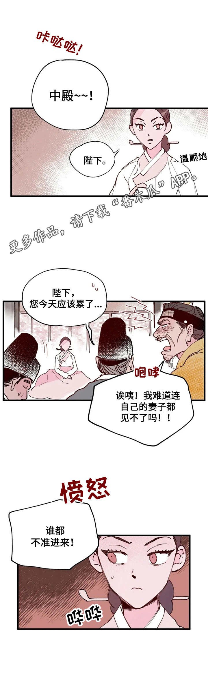 第20章：目击者