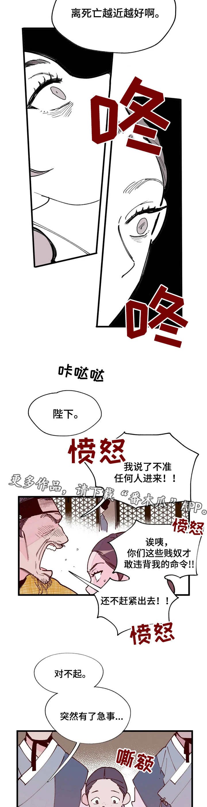 第20章：目击者