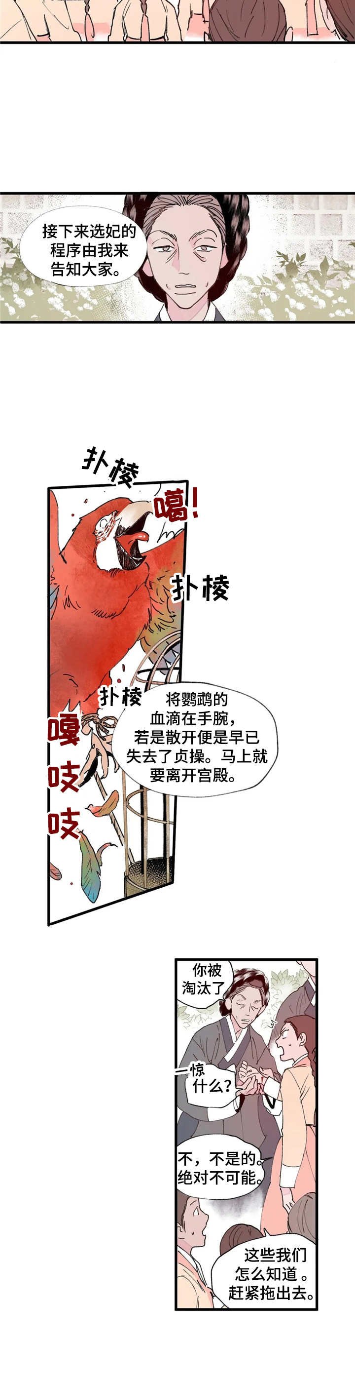 第3章：选拔