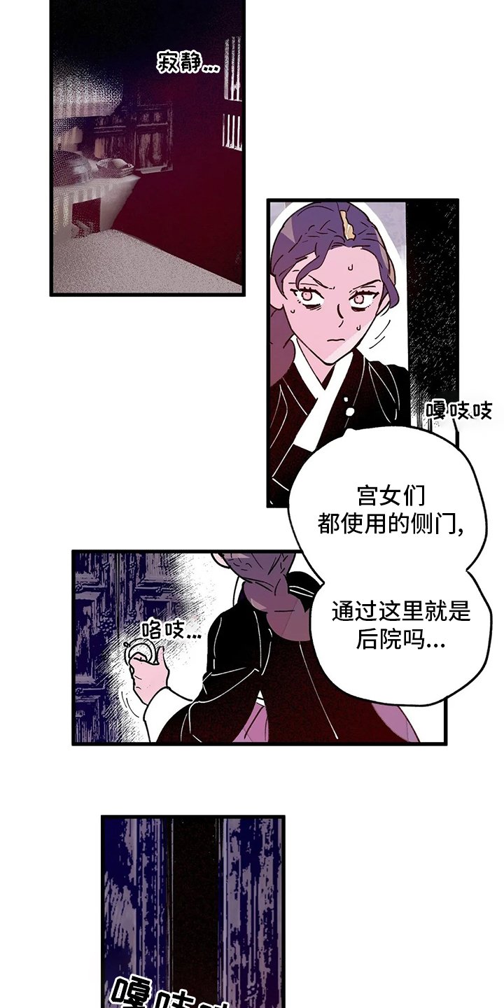 第66章：王要换了
