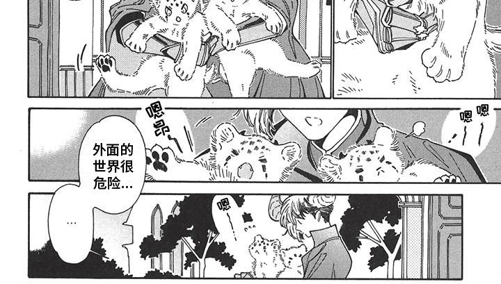 第5章：安稳的日子