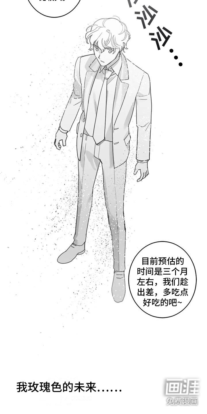 第13章：影响