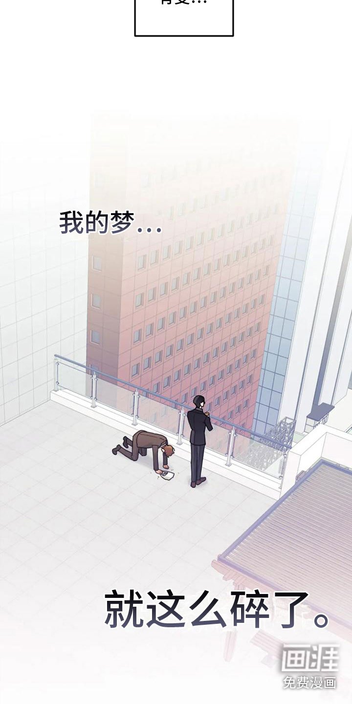 第13章：影响