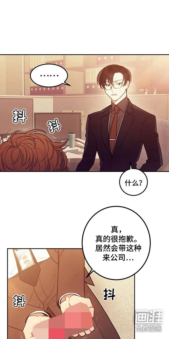 第5章：这是什么