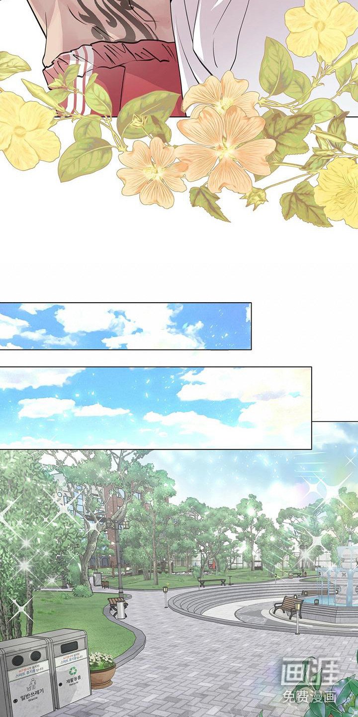 第13章：公园巧遇