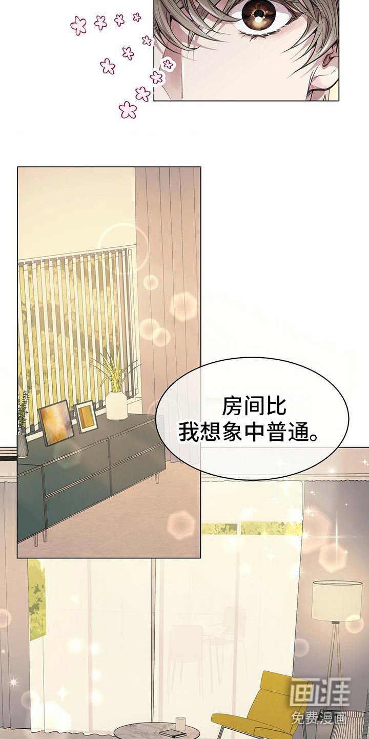 第17章：挑选