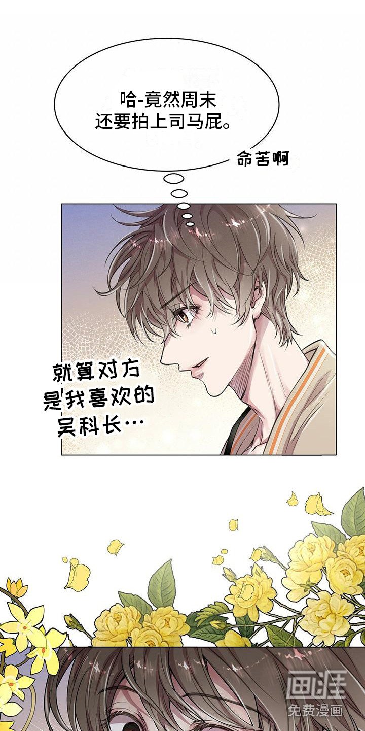 第17章：挑选