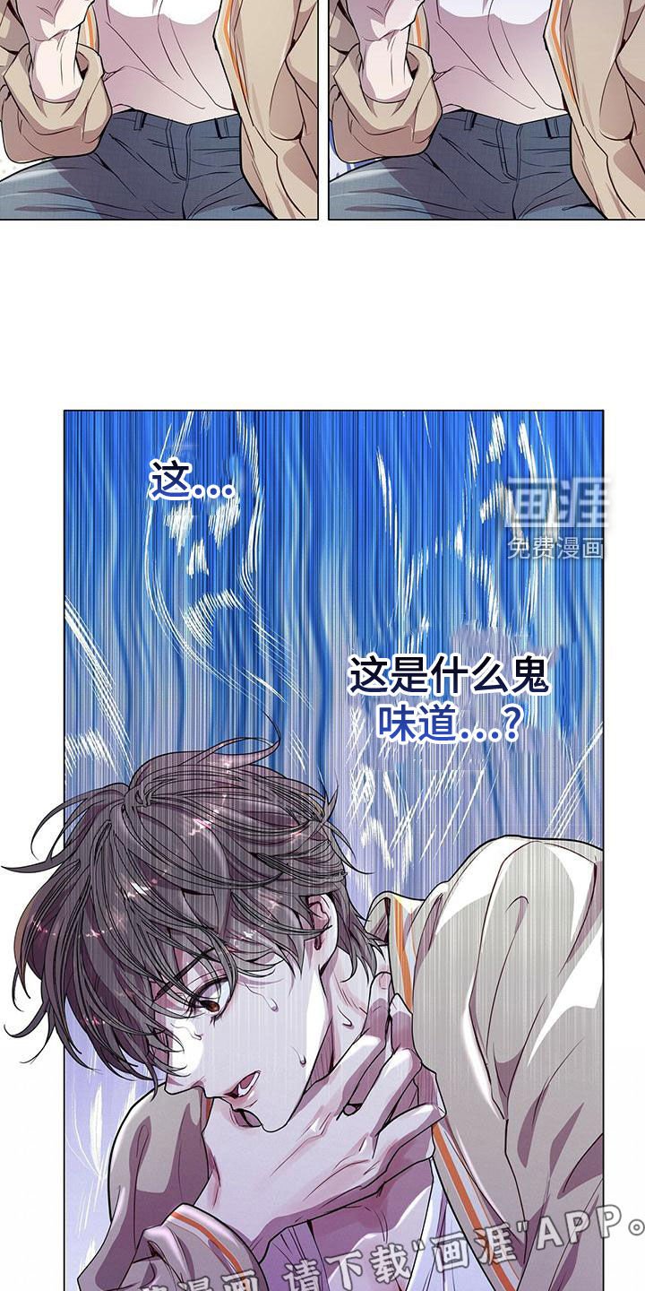 第22章：都是假的