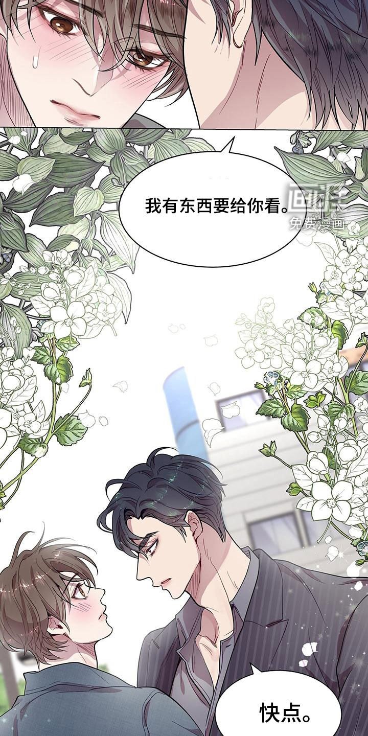 第29章：发展