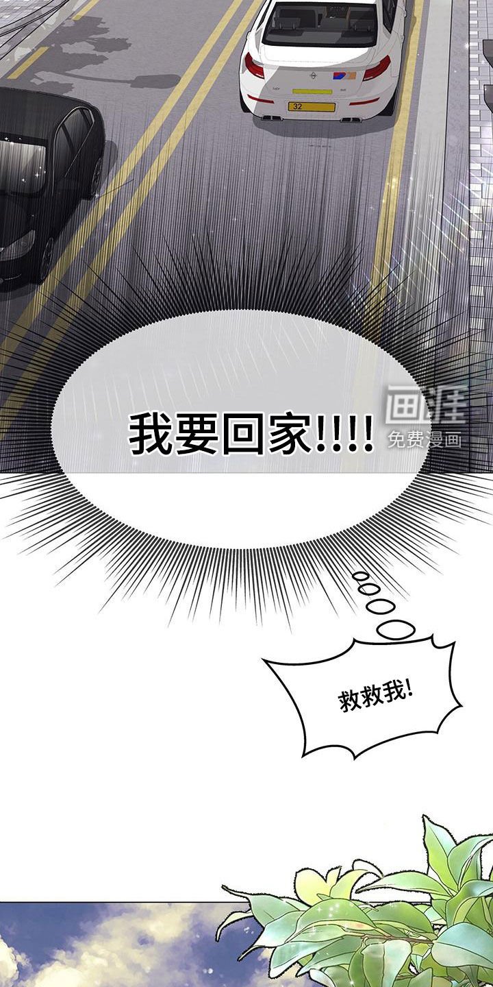 第29章：发展