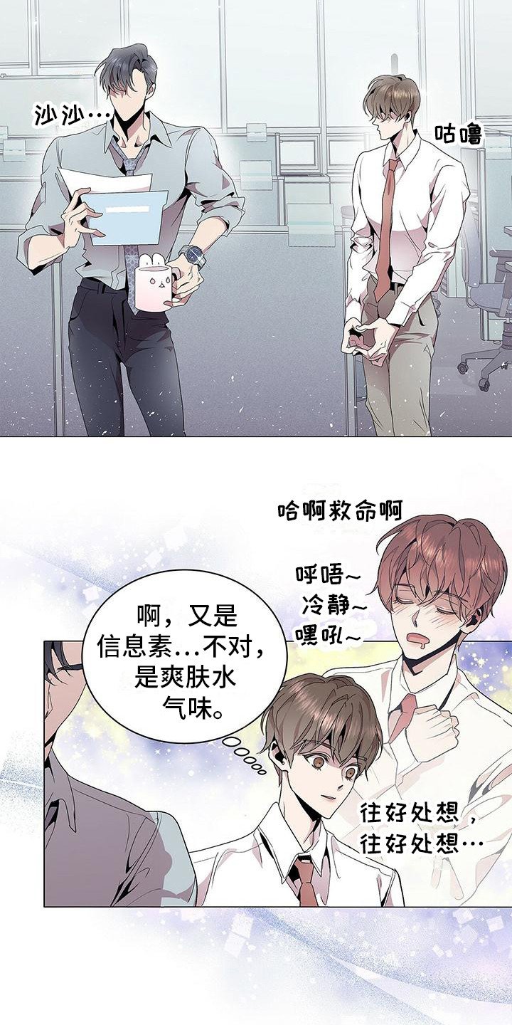 第3章：完美精致