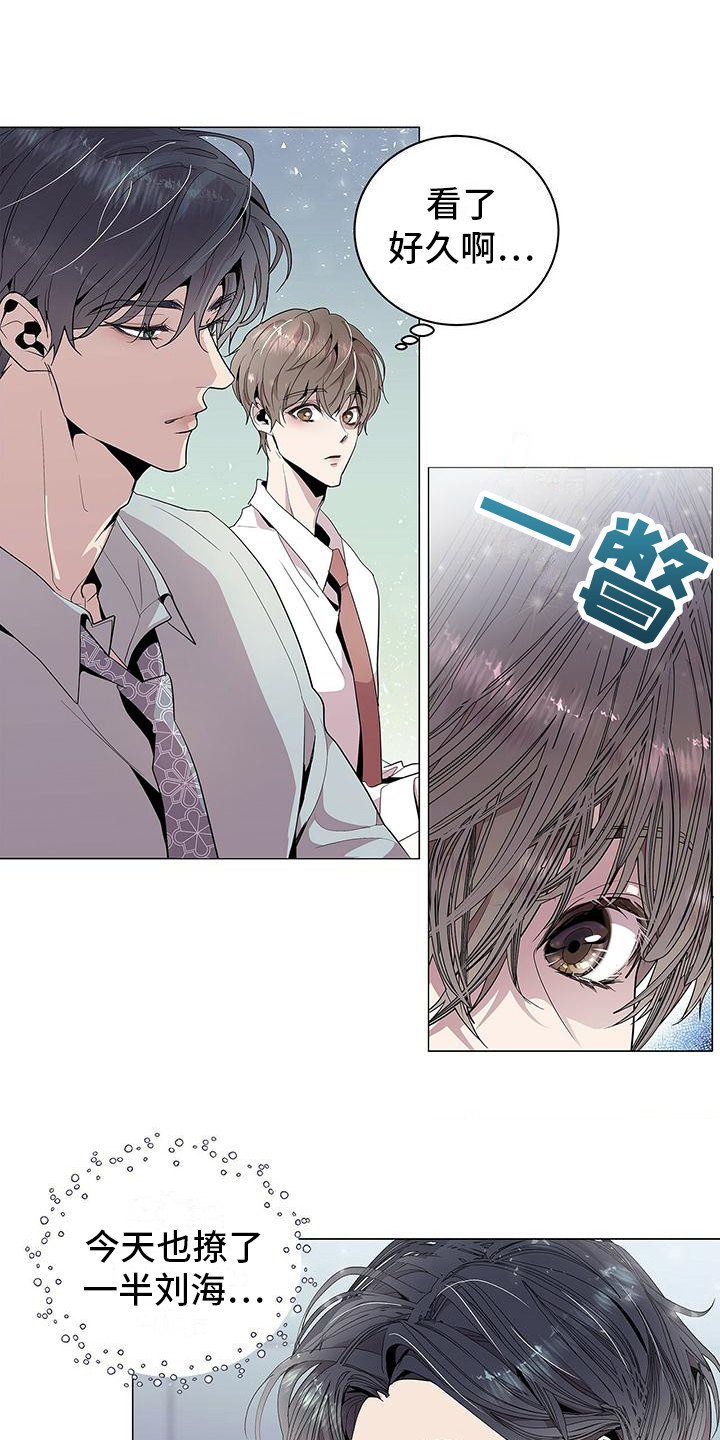 第3章：完美精致