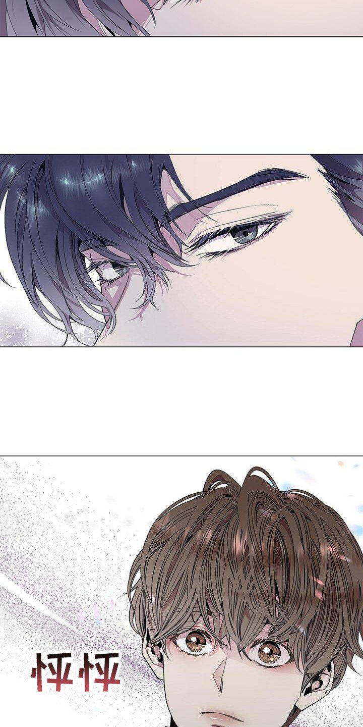 第3章：完美精致