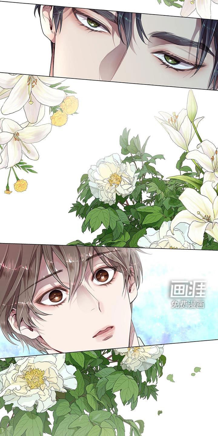第32章：拒绝好意