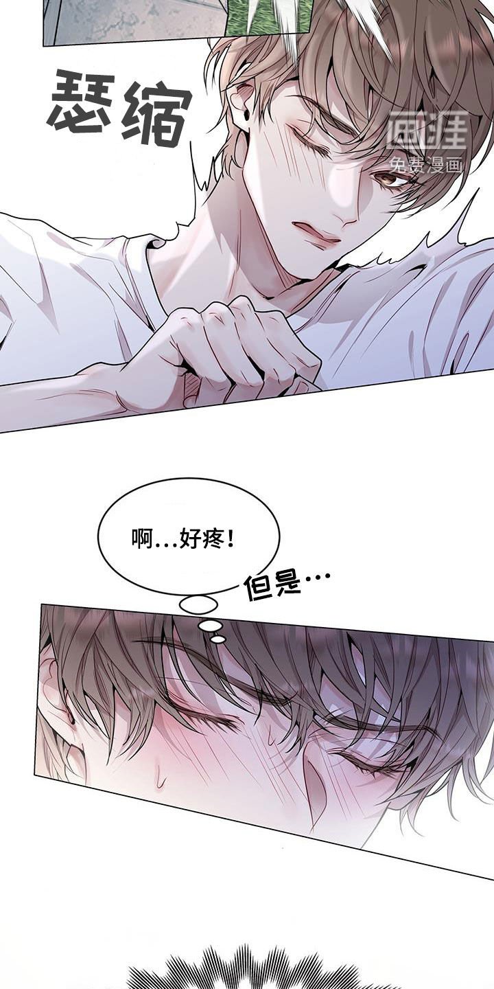第42章：超大蜘蛛