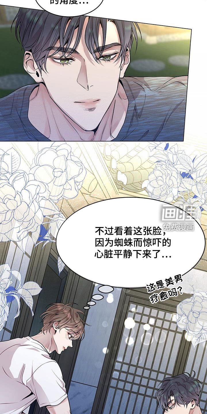 第42章：超大蜘蛛