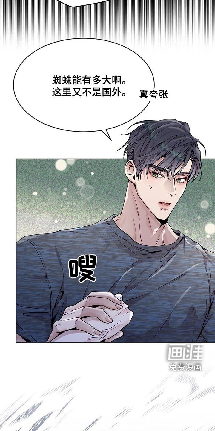 第43章：怦然心动