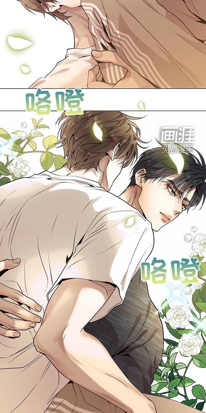 第43章：怦然心动