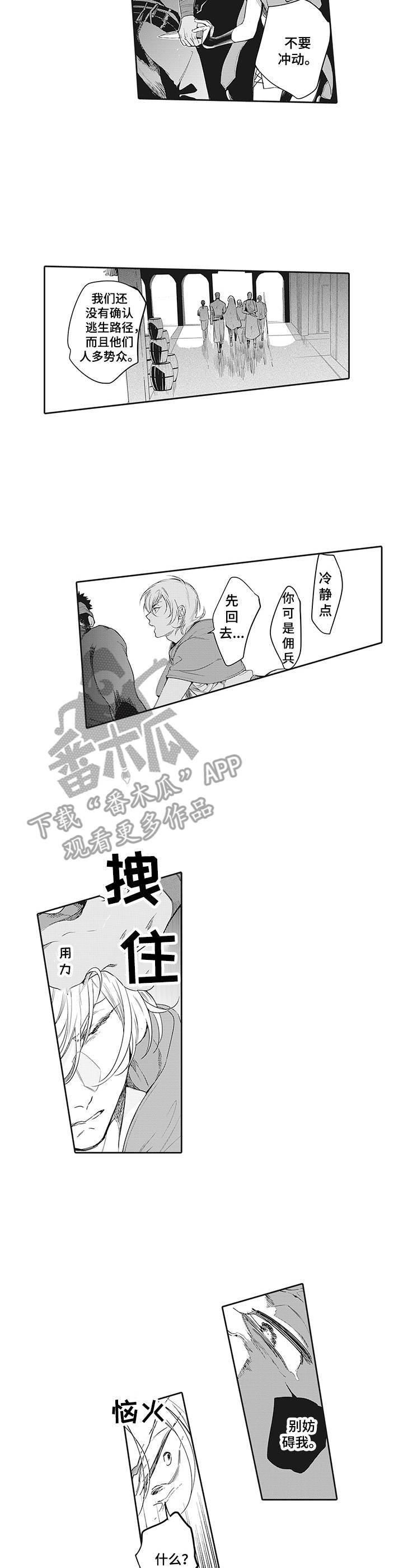 第13章：冲动