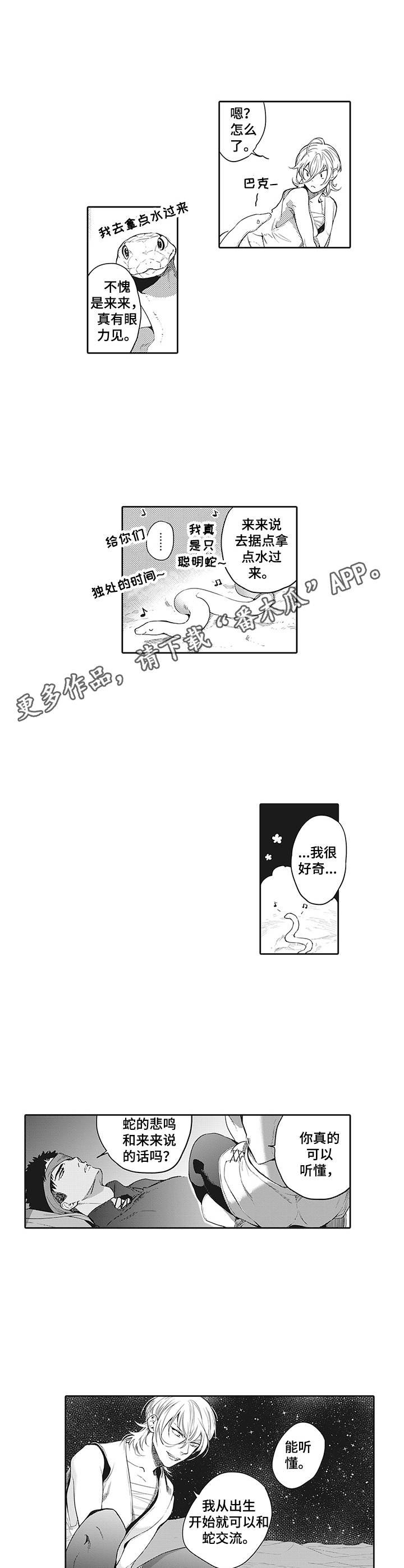 第14章：神奇的能力