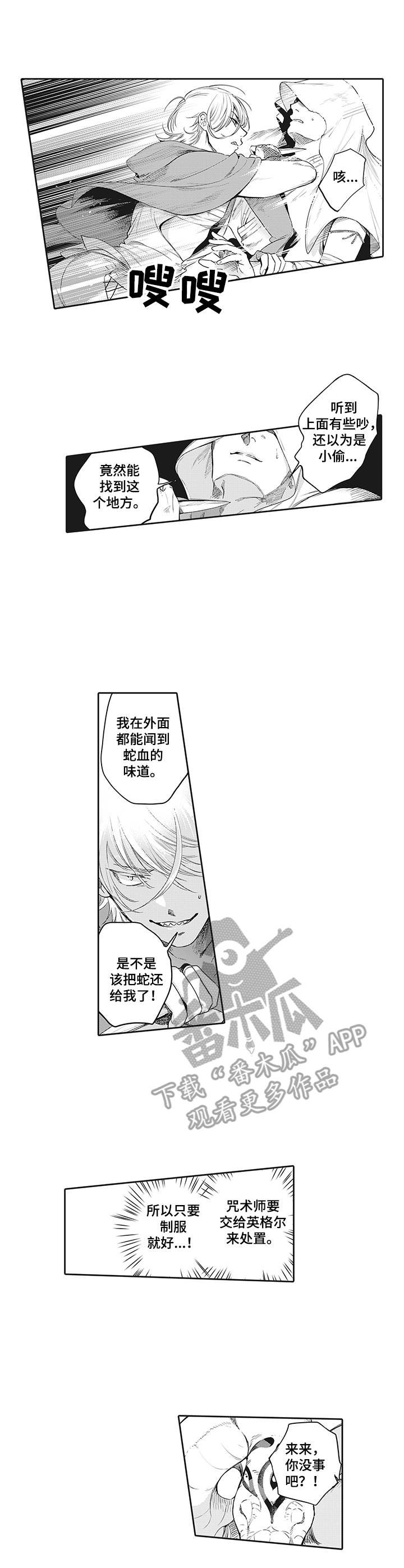 第17章：咒术
