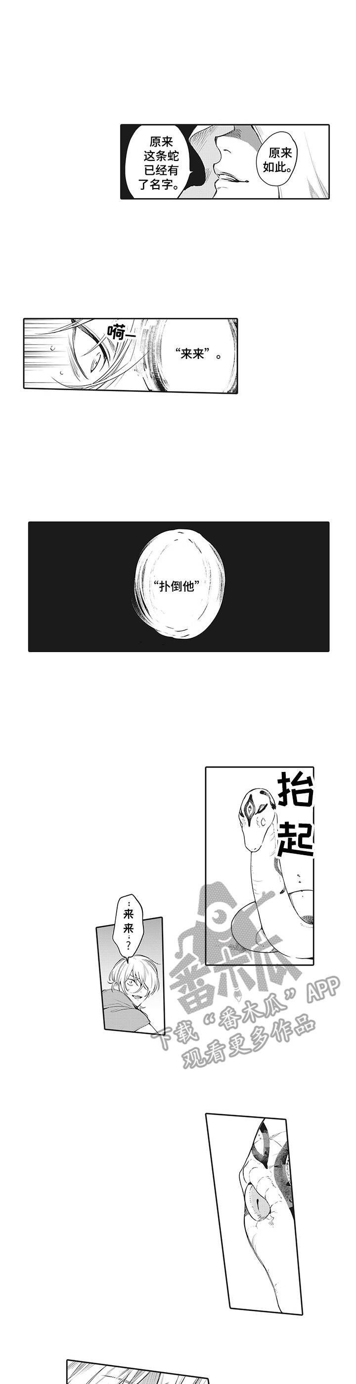 第17章：咒术