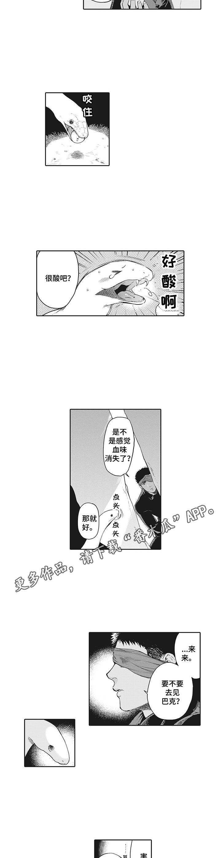第19章：说服