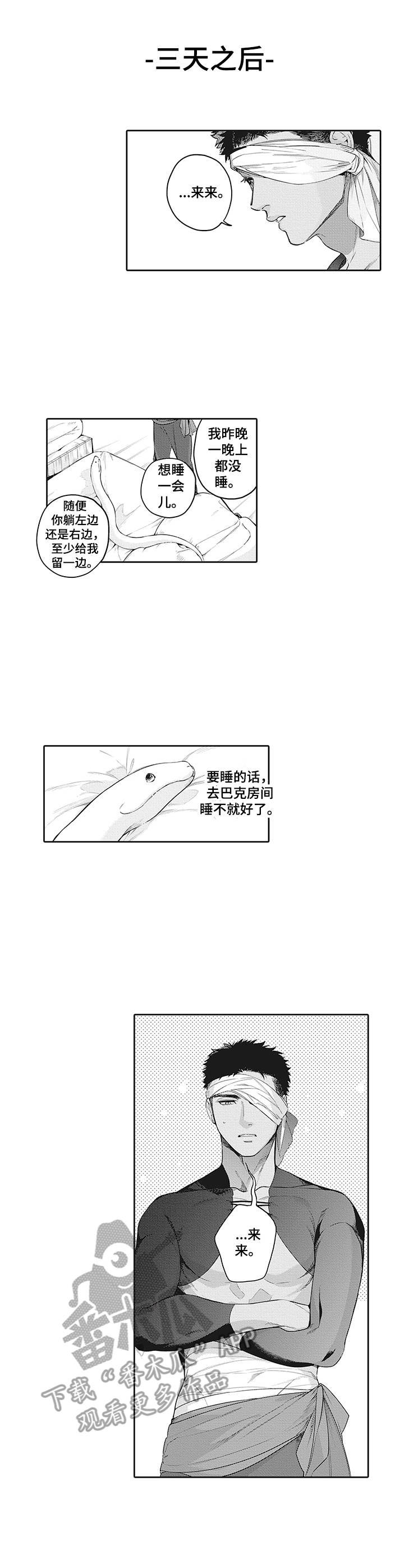 第26章：小心思