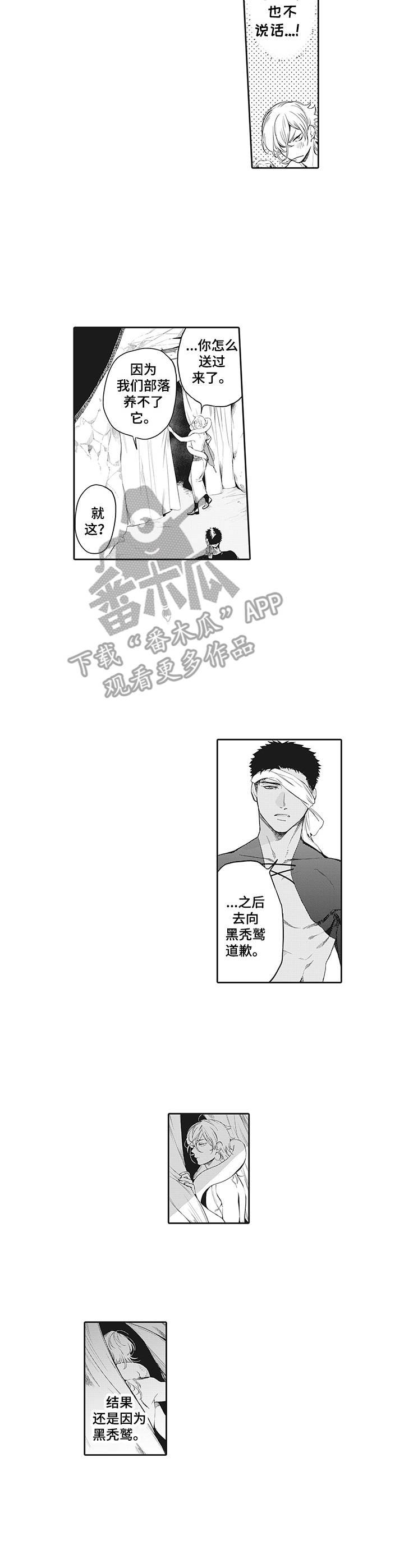 第7章：道歉