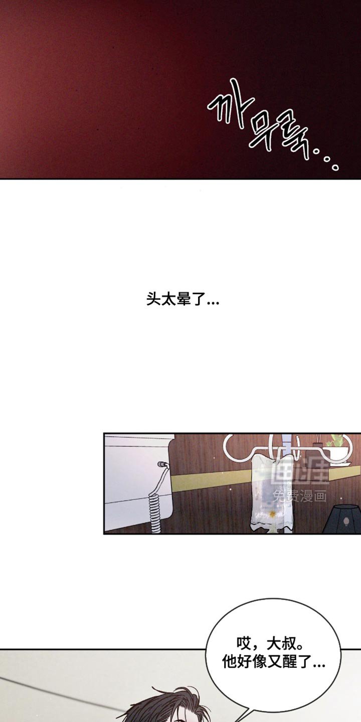第140章：【番外】车祸
