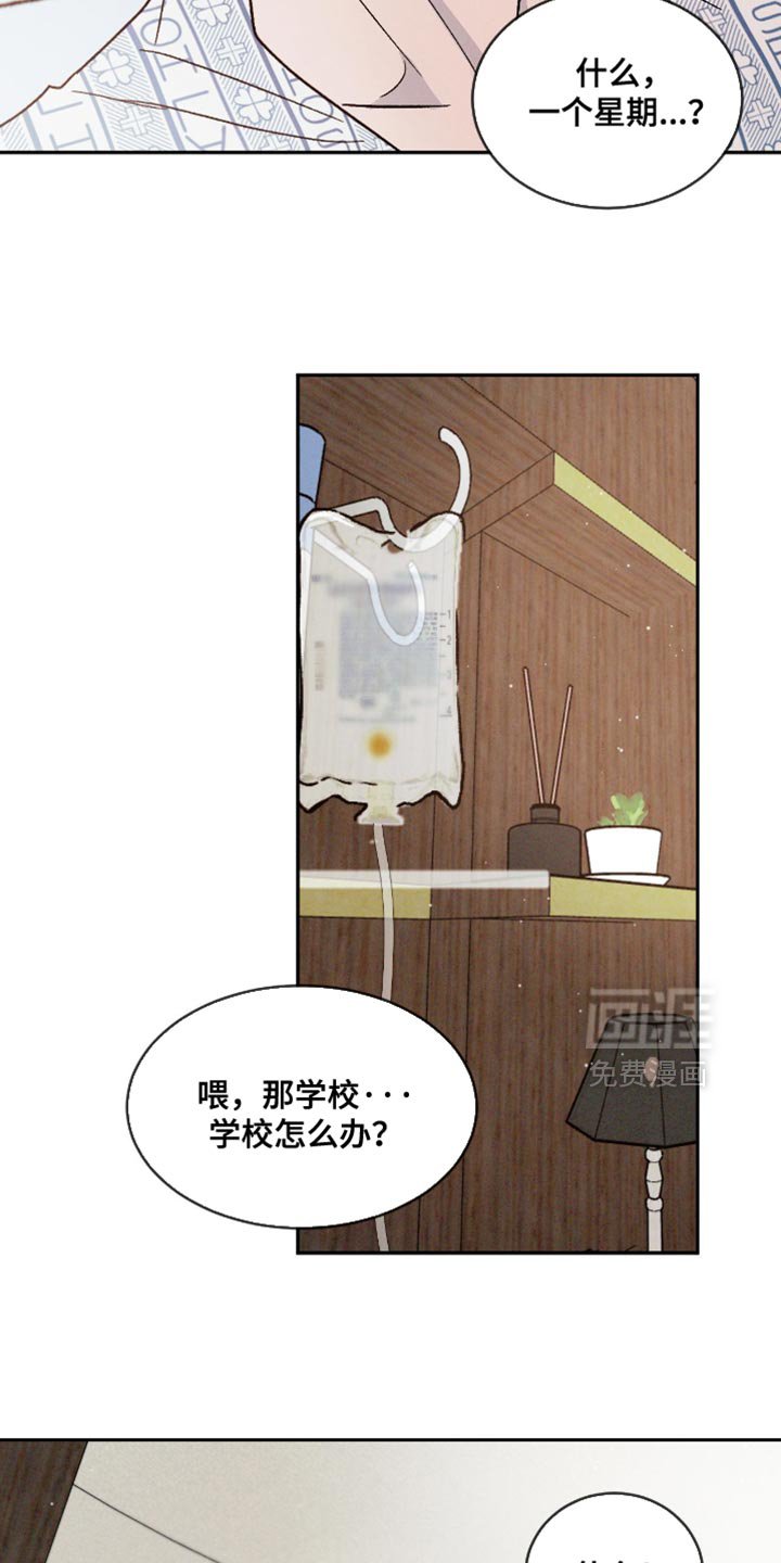 第140章：【番外】车祸