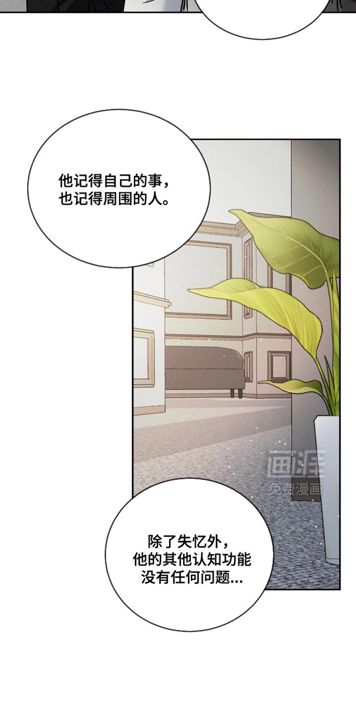 第141章：【番外】失忆了