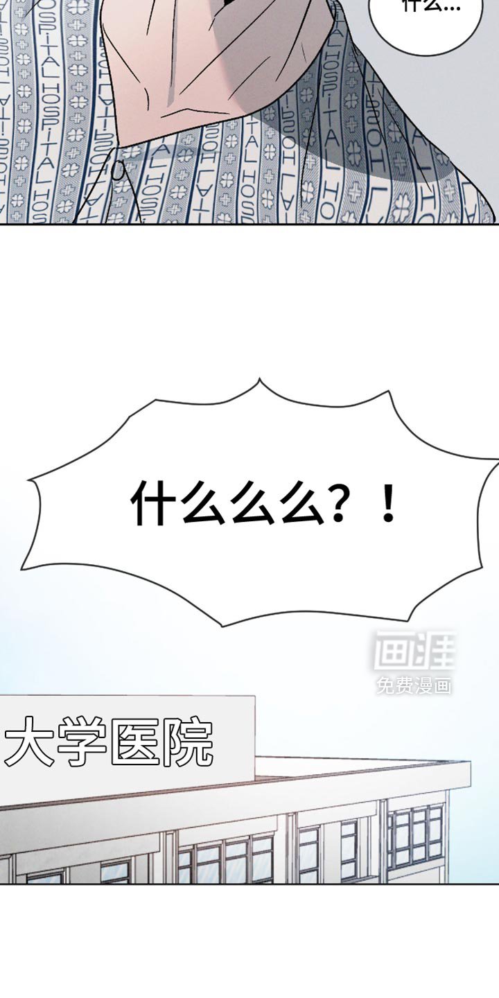 第142章：【番外】不能理解
