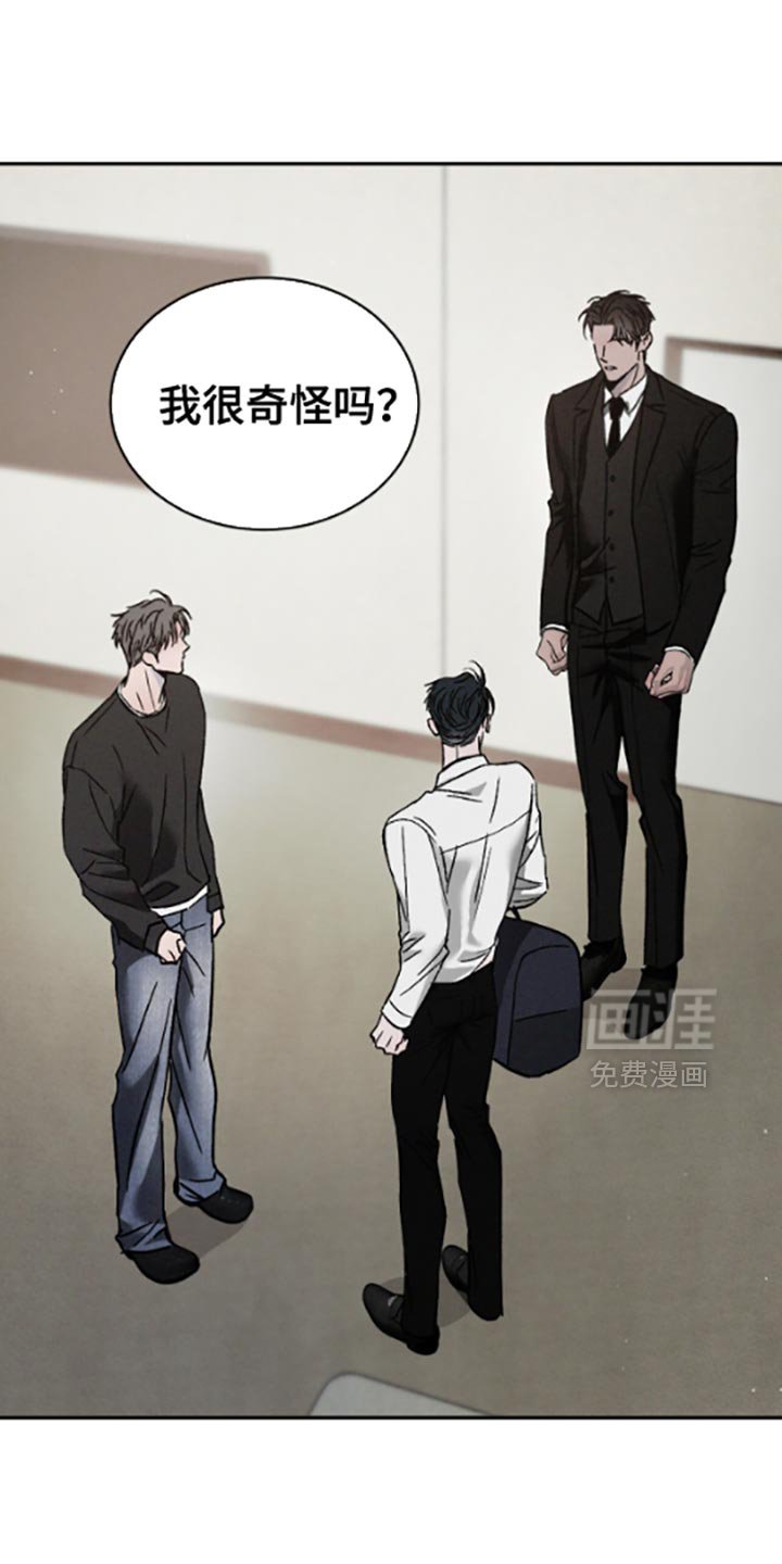 第144章：【番外】无法理解