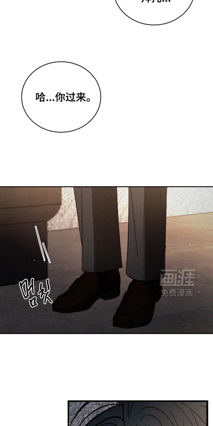 第160章：【番外】真的很想看