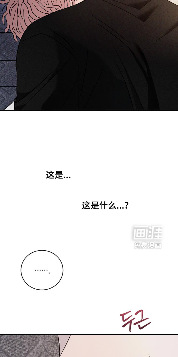 第160章：【番外】真的很想看