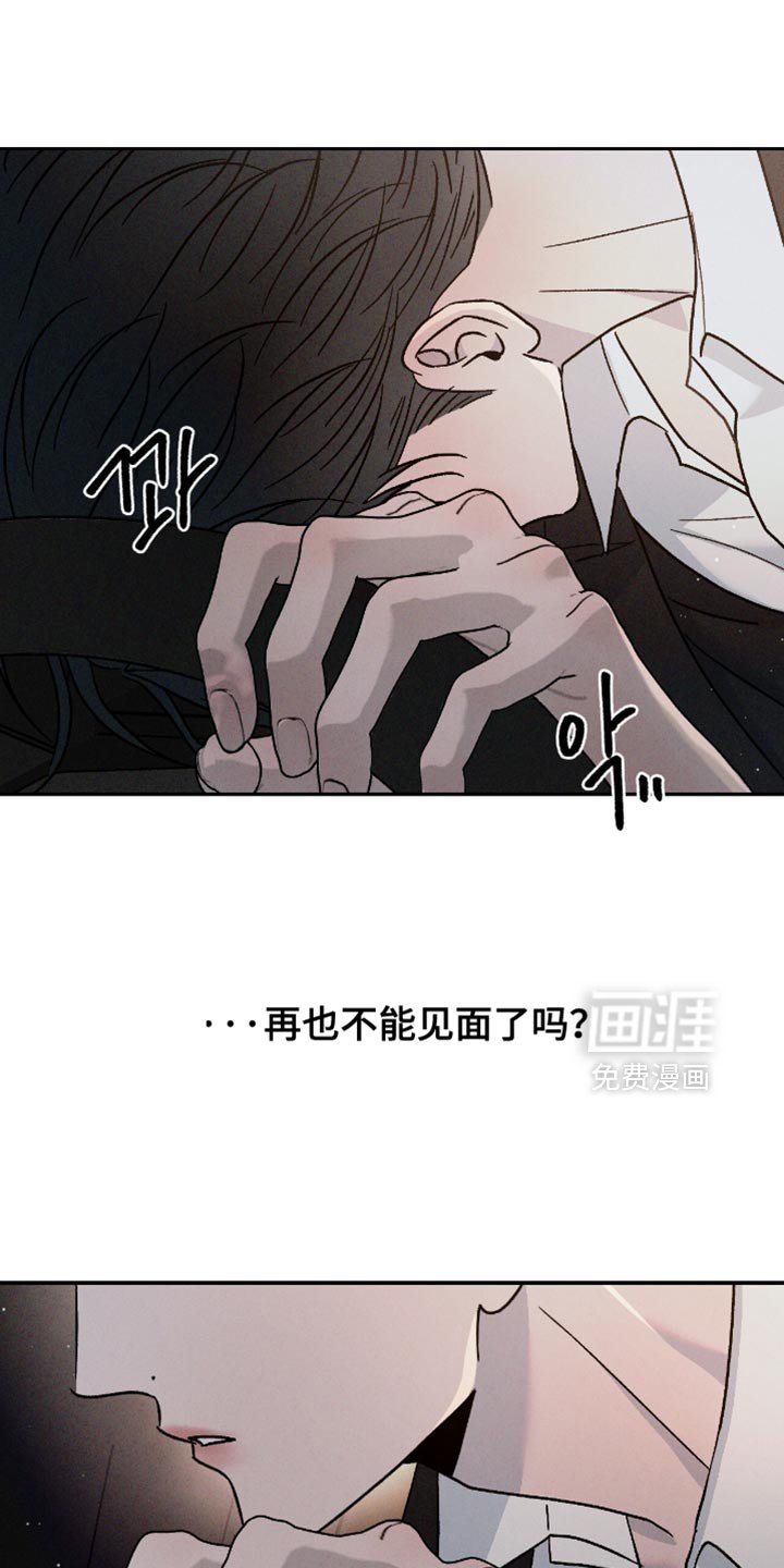 第161章：【番外】我都看到了