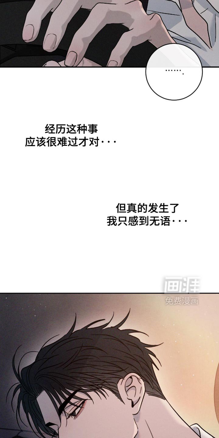 第161章：【番外】我都看到了