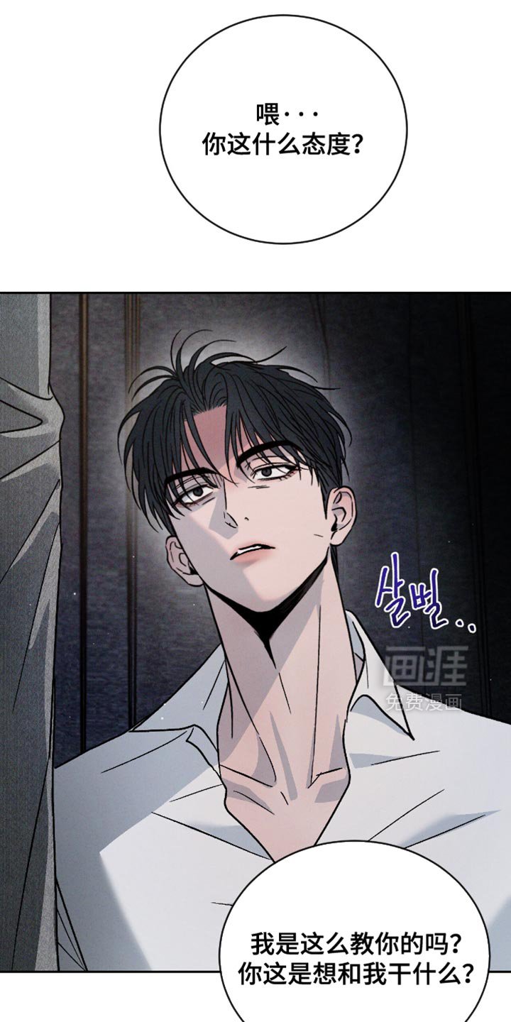 第161章：【番外】我都看到了