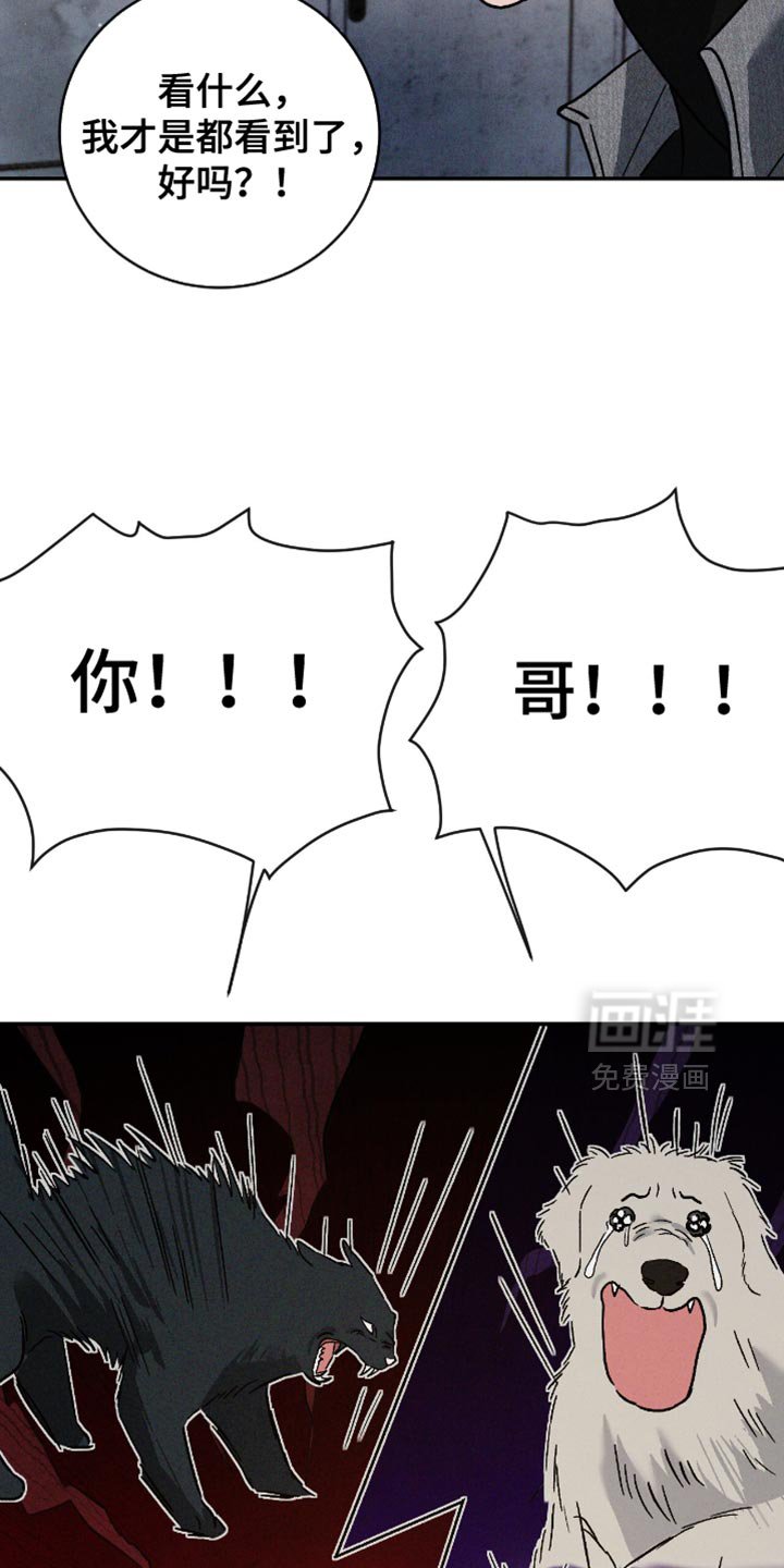 第161章：【番外】我都看到了