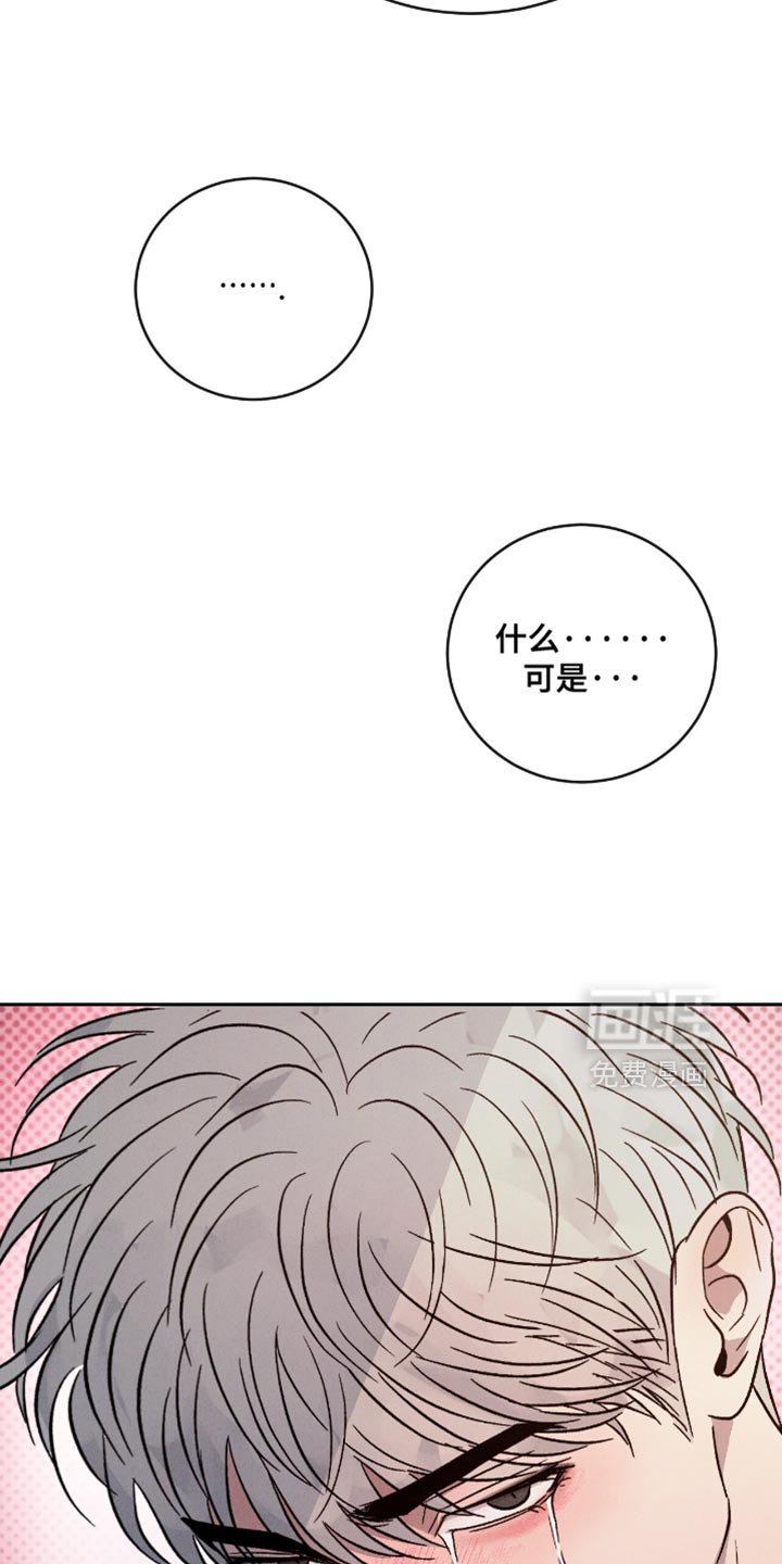 第163章：【番外】我自己决定