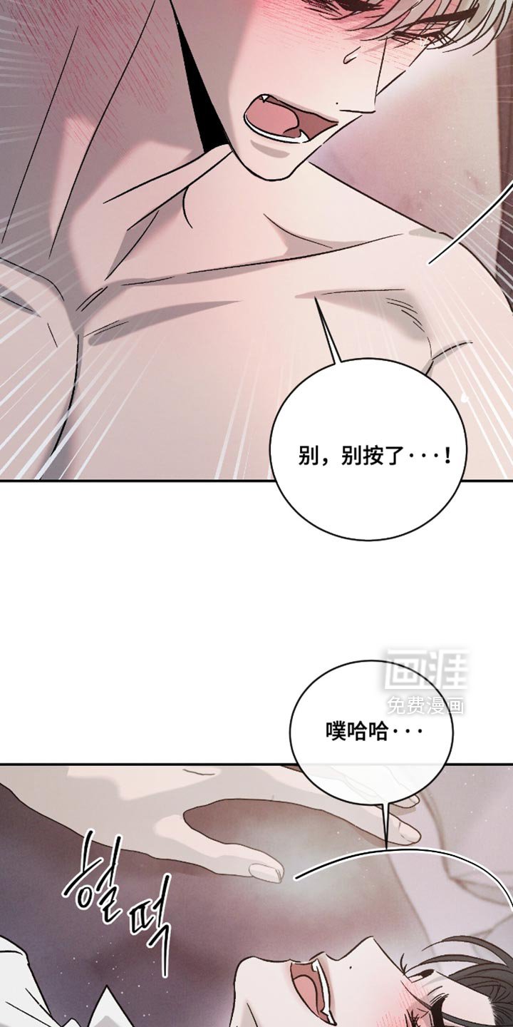 第164章：【番外】分不清