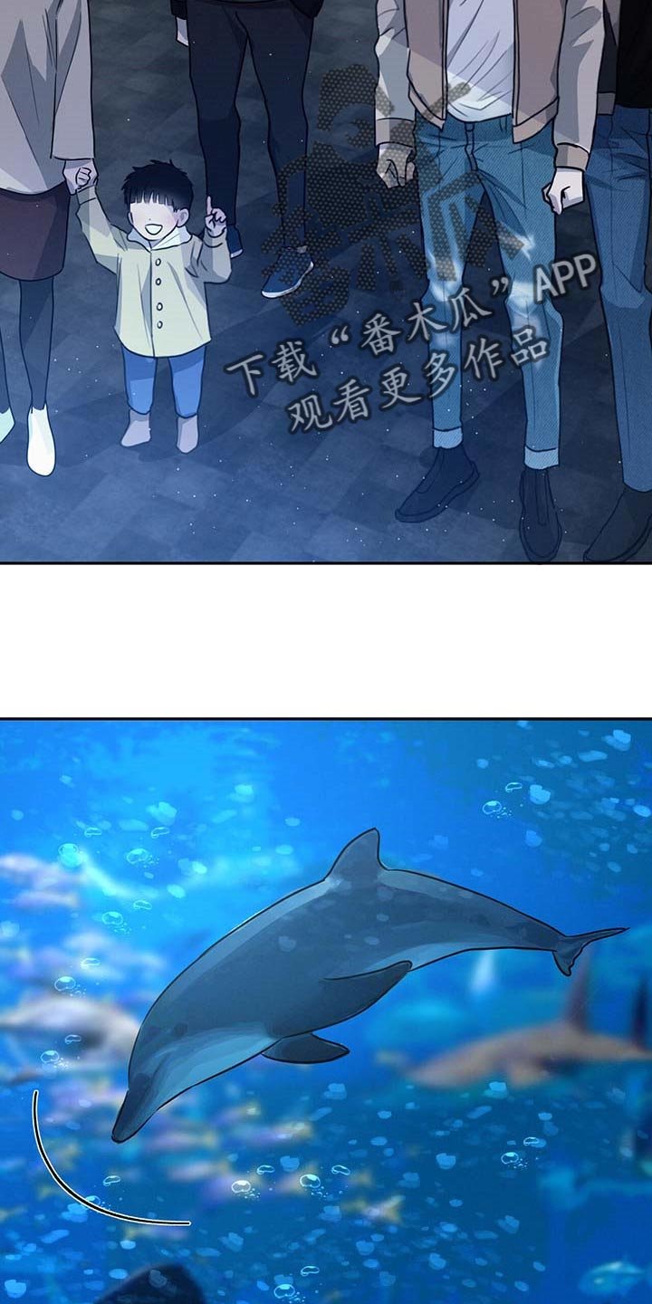 第42章：水族馆