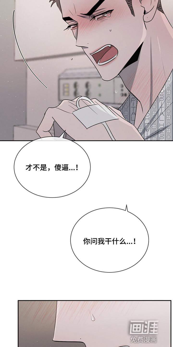 第66章：喜欢你这张脸（第一季完结）