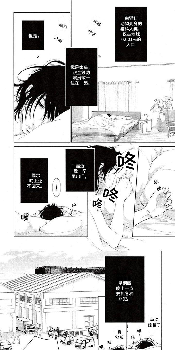第1章：玩耍