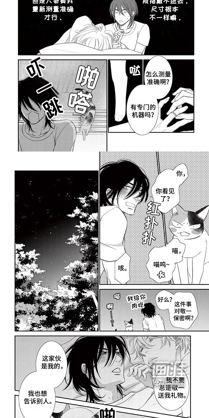 第13章：保密