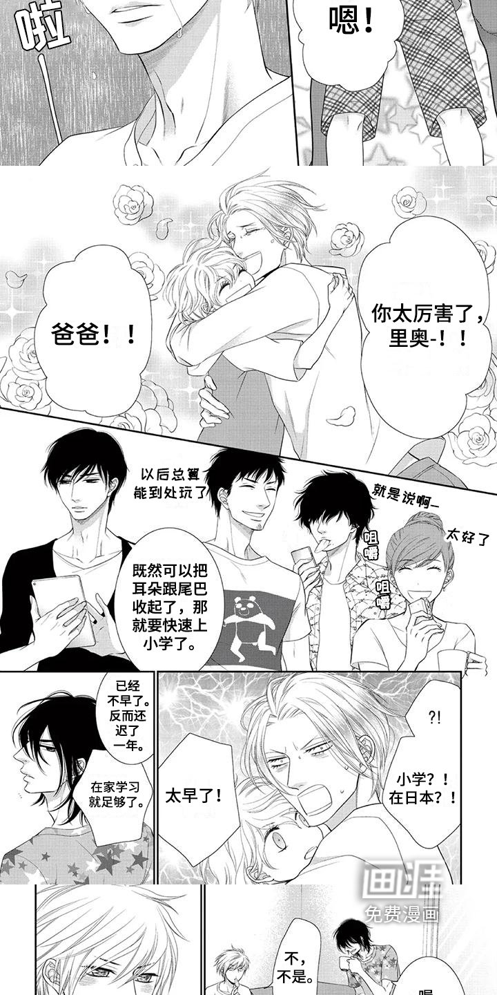 第14章：谅解