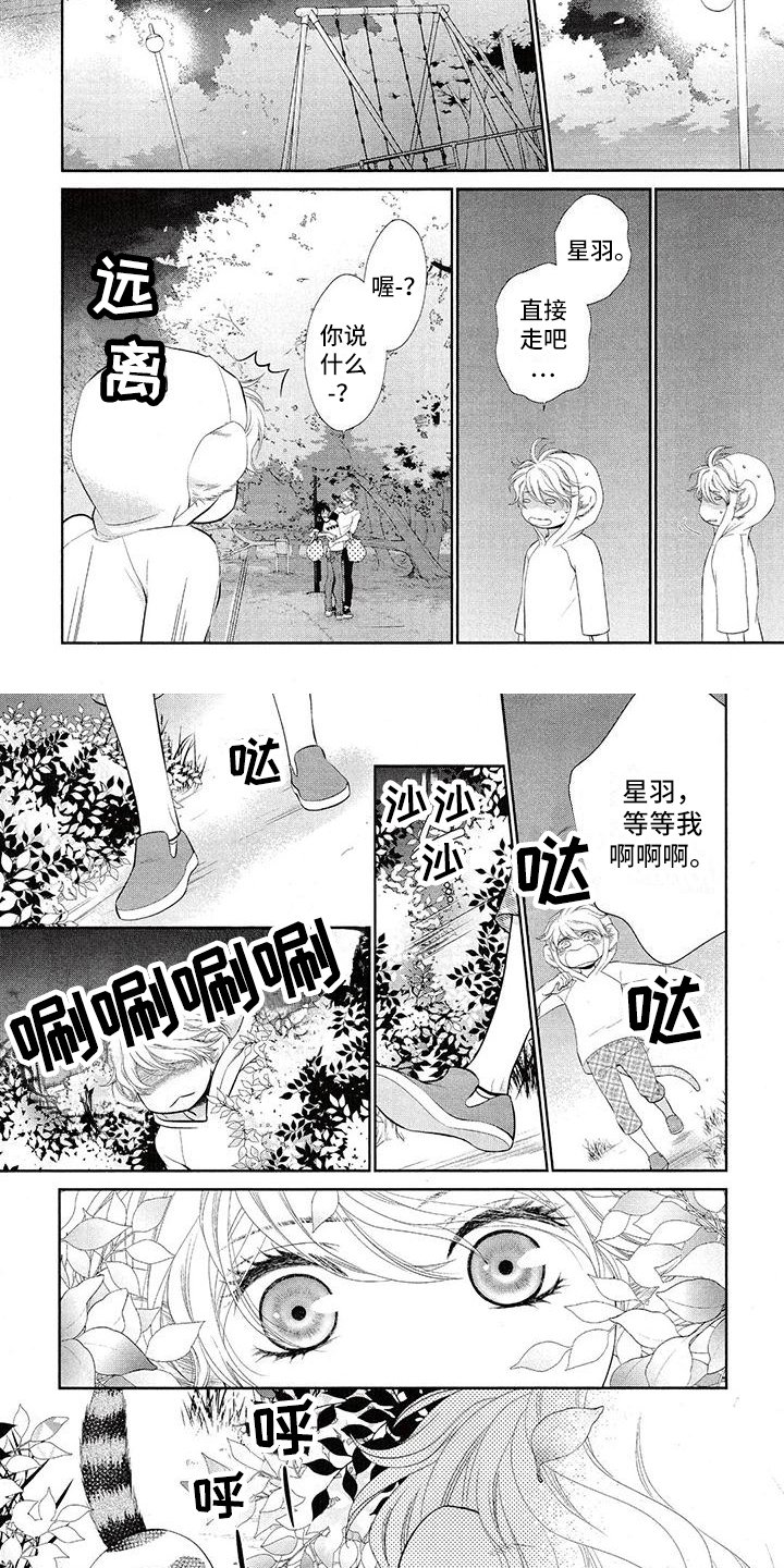 第2章：流浪猫