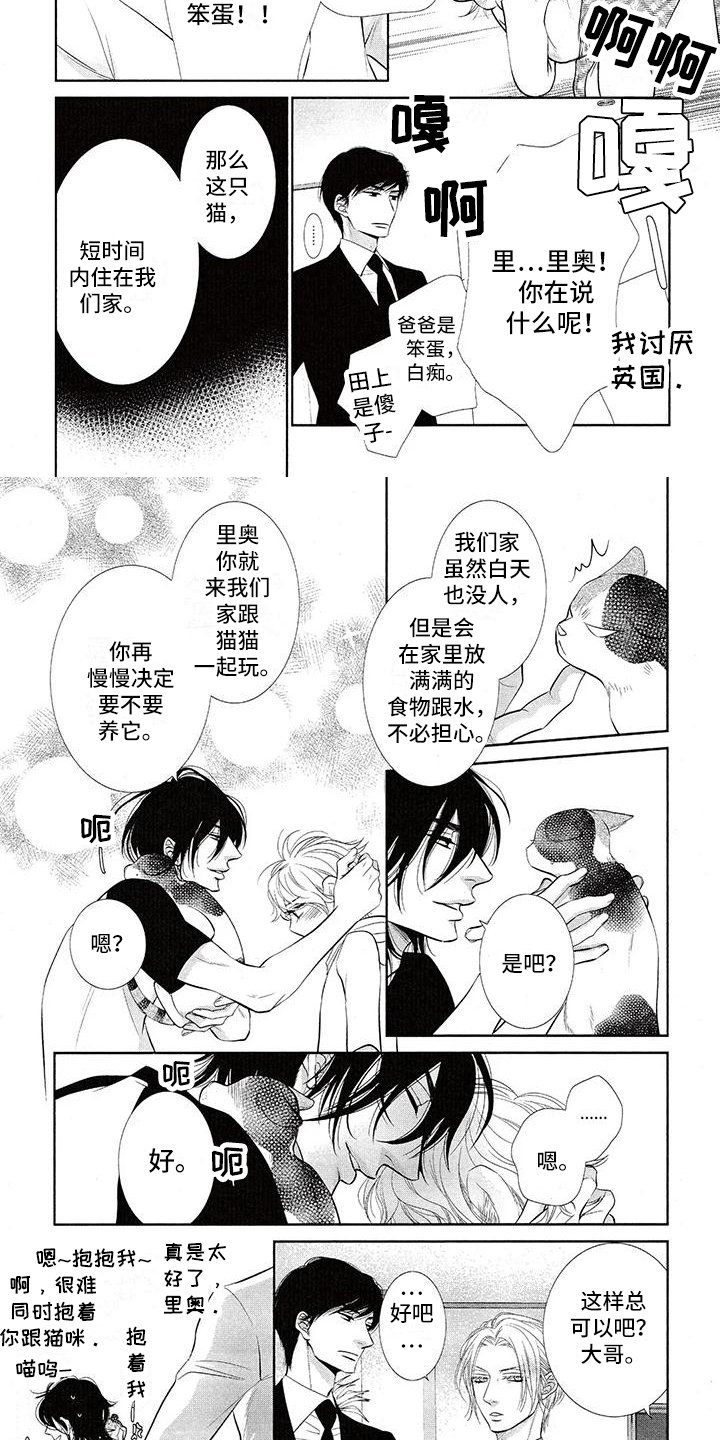 第2章：流浪猫